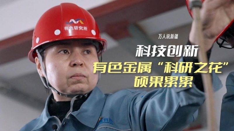 数据可视化图表类型解析：选择与运用之道
